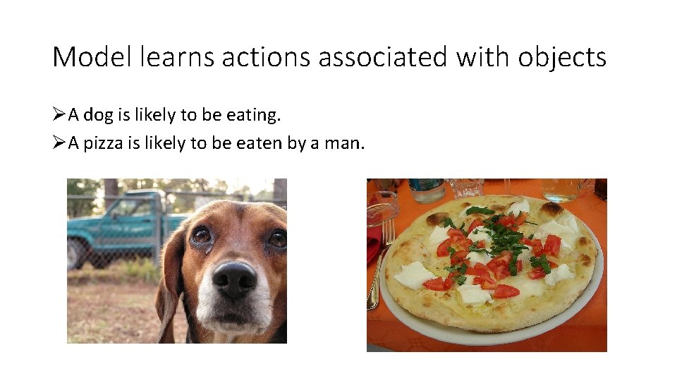 Model learns actions associated with objects ØA dog is likely to be eating. ØA