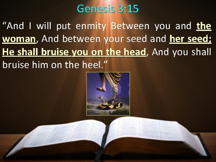 Genesis 3: 15 “And I will put enmity Between you and the woman, And