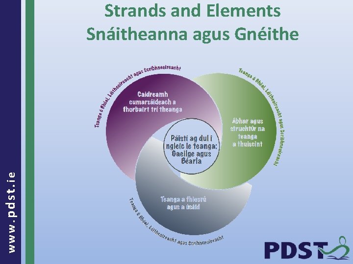 www. pdst. ie Strands and Elements Snáitheanna agus Gnéithe 