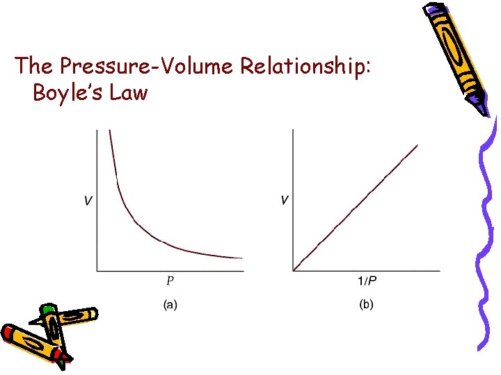 The Pressure-Volume Relationship: Boyle’s Law 
