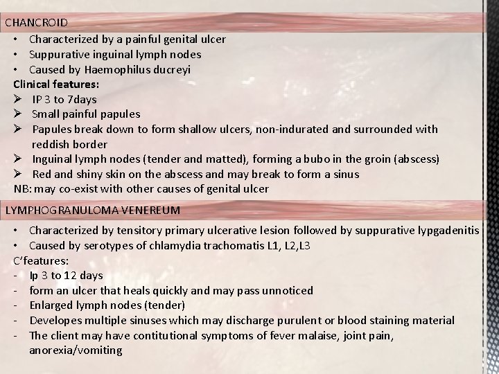 CHANCROID • Characterized by a painful genital ulcer • Suppurative inguinal lymph nodes •