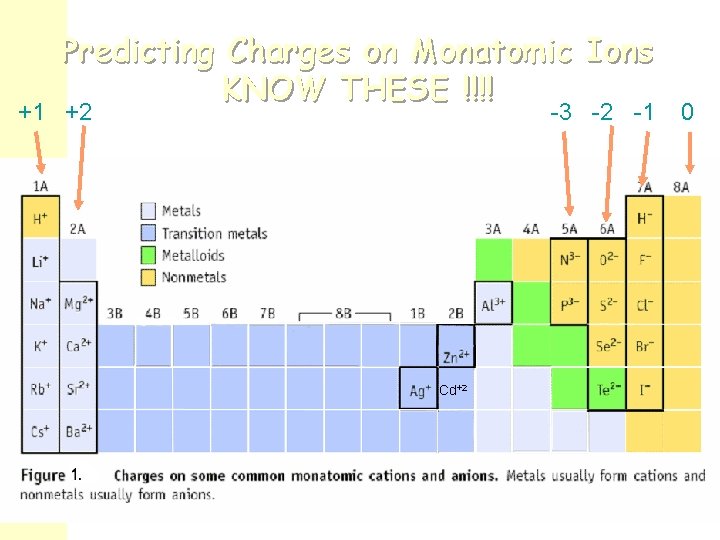 Predicting Charges on Monatomic Ions KNOW THESE !!!! +1 +2 -3 -2 -1 Cd+2