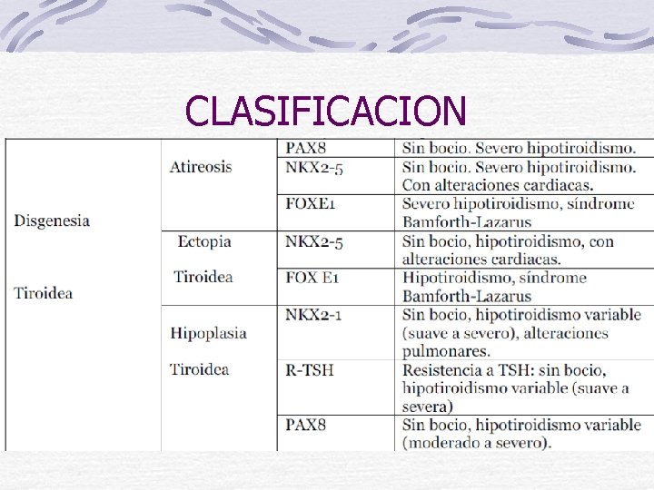 CLASIFICACION 