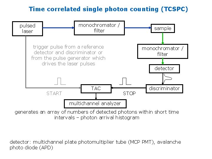 Time correlated single photon counting (TCSPC) monochromator / filter pulsed laser sample trigger pulse