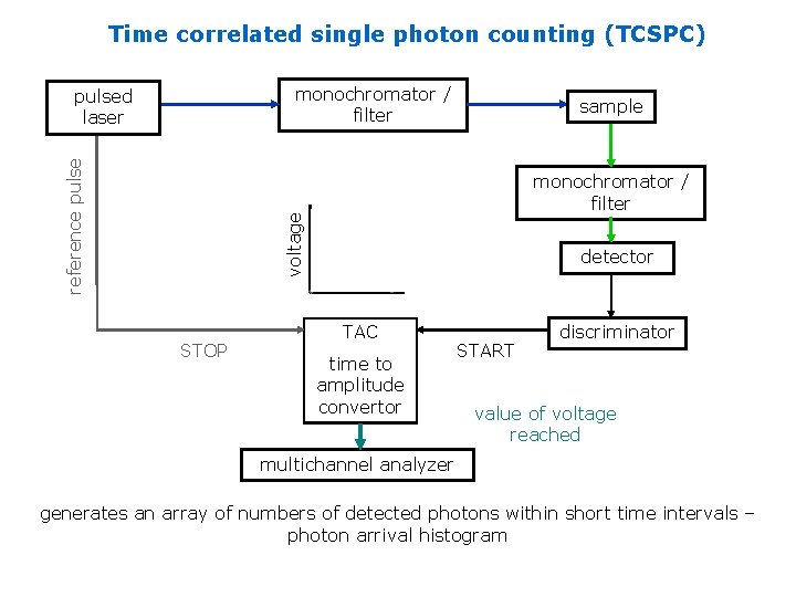 Time correlated single photon counting (TCSPC) monochromator / filter sample monochromator / filter voltage