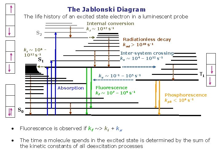 The Jablonski Diagram The life history of an excited state electron in a luminescent