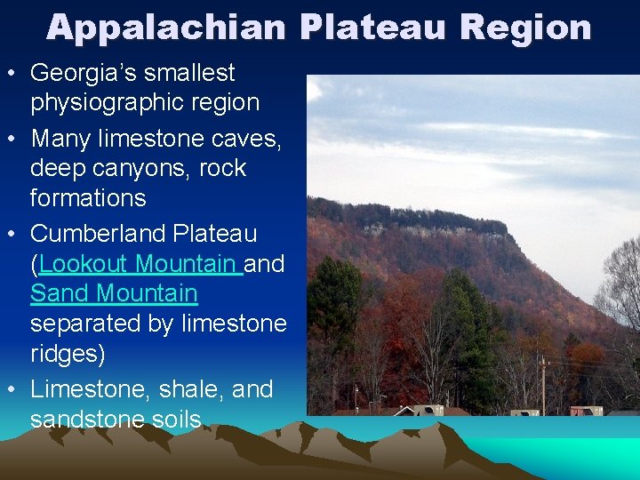 Appalachian Plateau Region • Georgia’s smallest physiographic region • Many limestone caves, deep canyons,