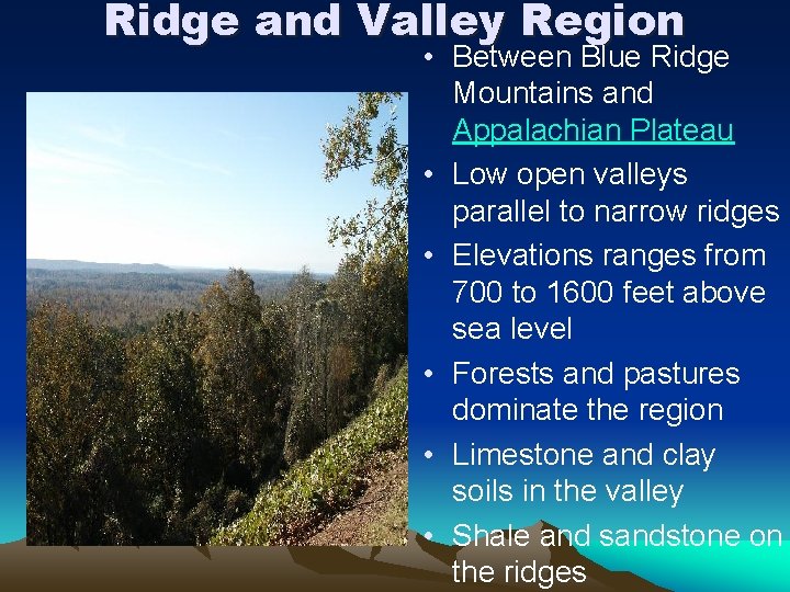 Ridge and Valley Region • Between Blue Ridge Mountains and Appalachian Plateau • Low