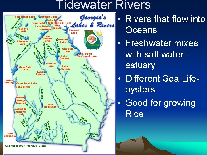 Tidewater Rivers • Rivers that flow into Oceans • Freshwater mixes with salt waterestuary