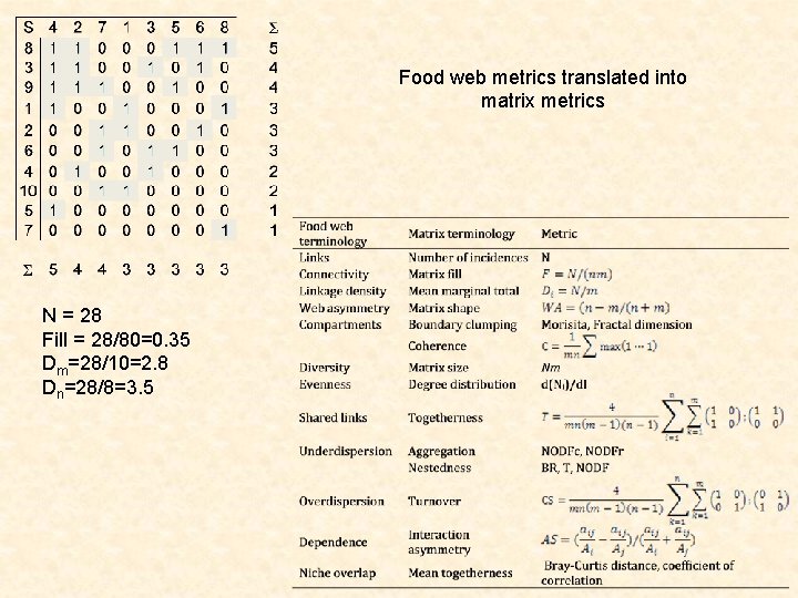 Food web metrics translated into matrix metrics N = 28 Fill = 28/80=0. 35