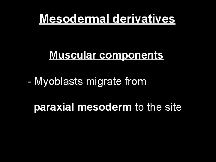 Mesodermal derivatives Muscular components - Myoblasts migrate from paraxial mesoderm to the site 