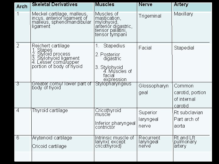 Arch Skeletal Derivatives Muscles Nerve Artery 1 Meckel cartilage, malleus, incus, anterior ligament of