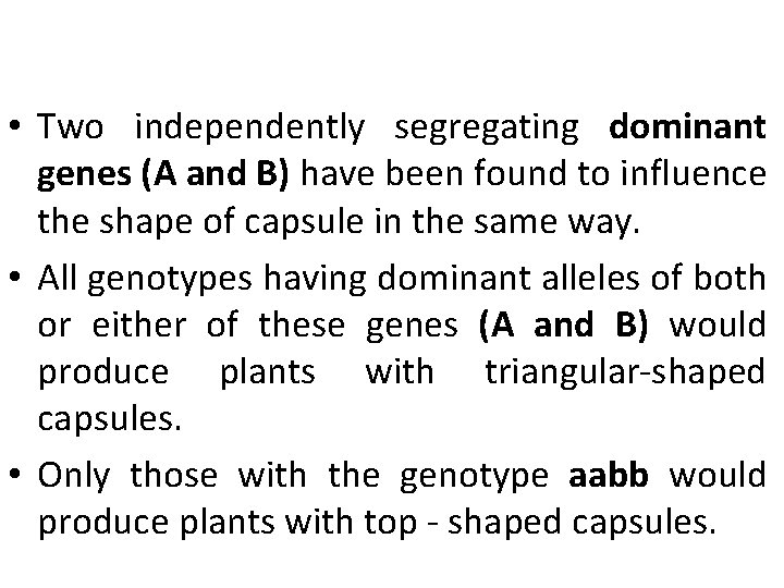  • Two independently segregating dominant genes (A and B) have been found to
