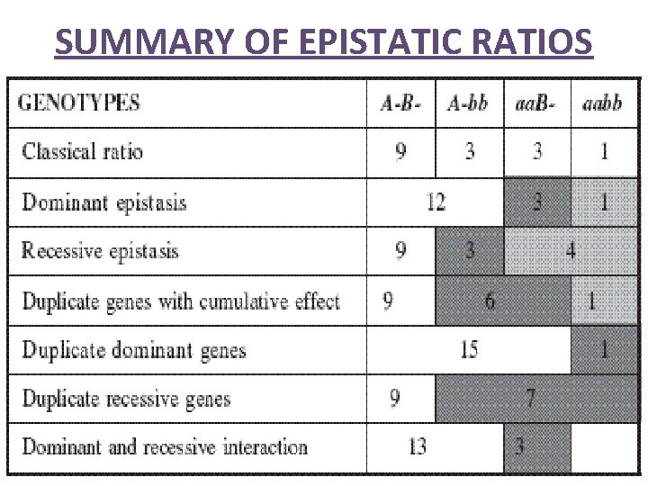 SUMMARY OF EPISTATIC RATIOS 