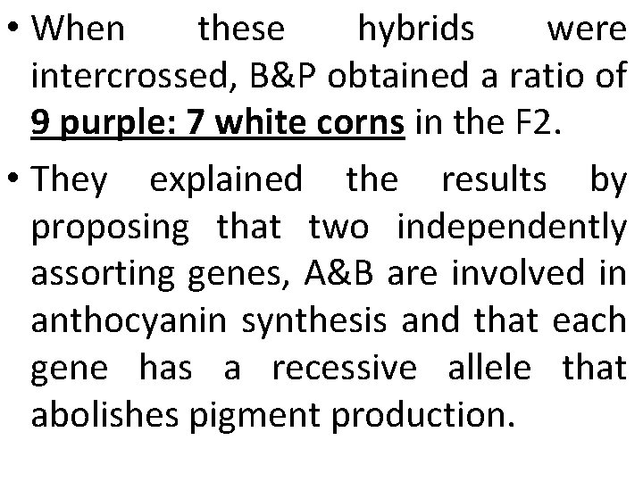  • When these hybrids were intercrossed, B&P obtained a ratio of 9 purple: