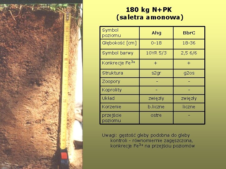 180 kg N+PK (saletra amonowa) Symbol poziomu Ahg Bbr. C Głębokość [cm] 0 -18