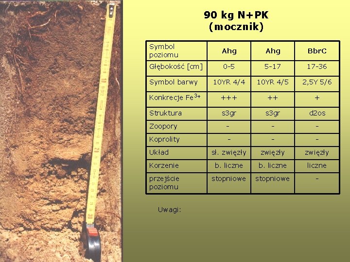 90 kg N+PK (mocznik) Symbol poziomu Ahg Bbr. C Głębokość [cm] 0 -5 5