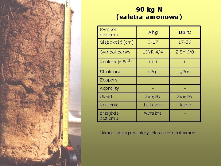 90 kg N (saletra amonowa) Symbol poziomu Ahg Bbr. C Głębokość [cm] 0 -17