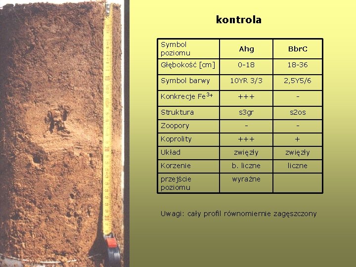 kontrola Symbol poziomu Ahg Bbr. C Głębokość [cm] 0 -18 18 -36 Symbol barwy