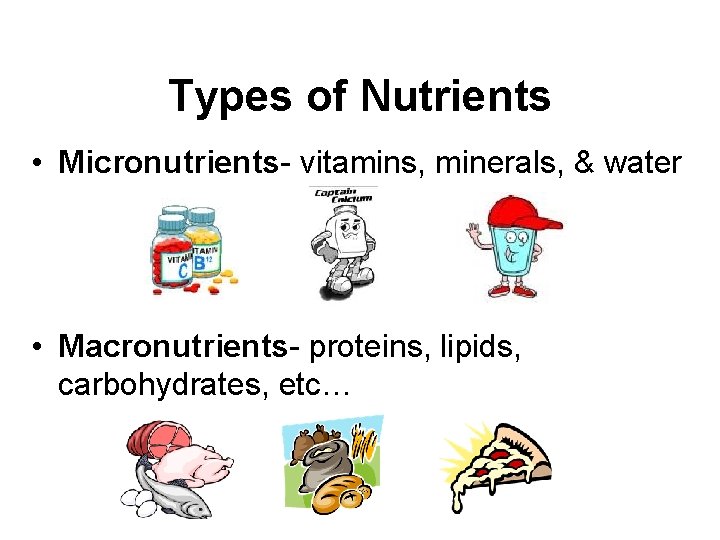 Types of Nutrients • Micronutrients- vitamins, minerals, & water • Macronutrients- proteins, lipids, carbohydrates,