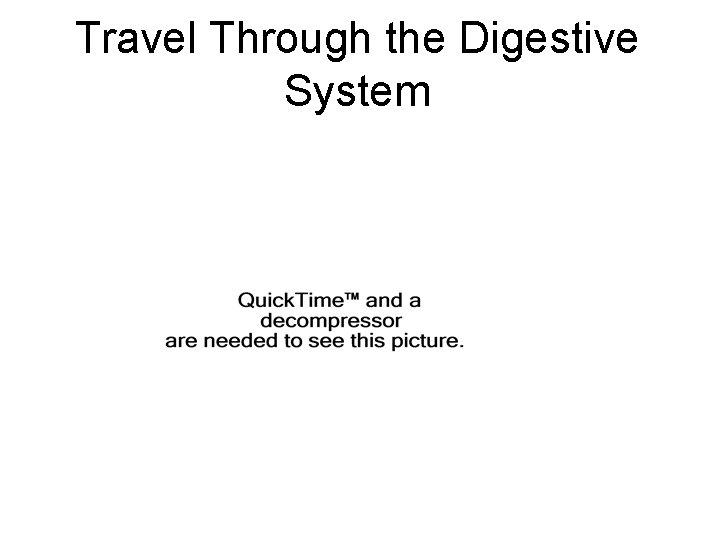 Travel Through the Digestive System 