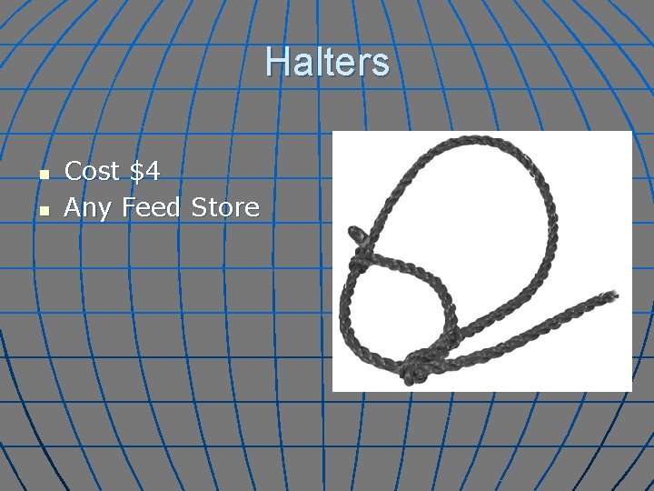 Halters n n Cost $4 Any Feed Store 