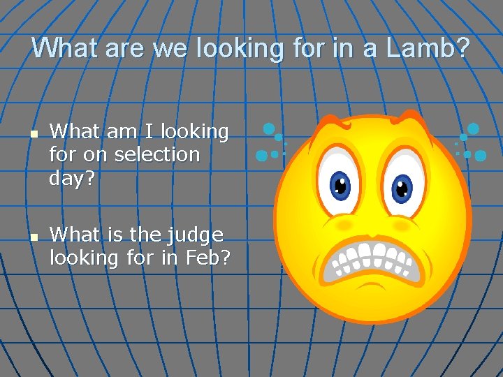 What are we looking for in a Lamb? n n What am I looking