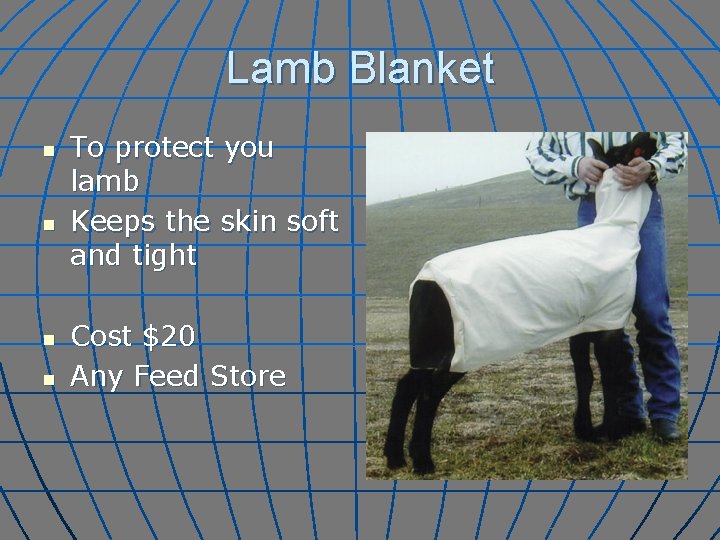 Lamb Blanket n n To protect you lamb Keeps the skin soft and tight