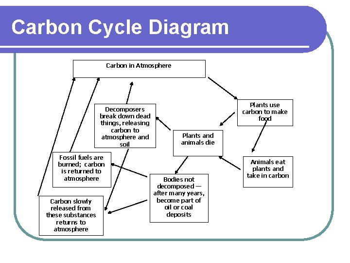 Carbon Cycle Diagram Carbon in Atmosphere Decomposers break down dead things, releasing carbon to