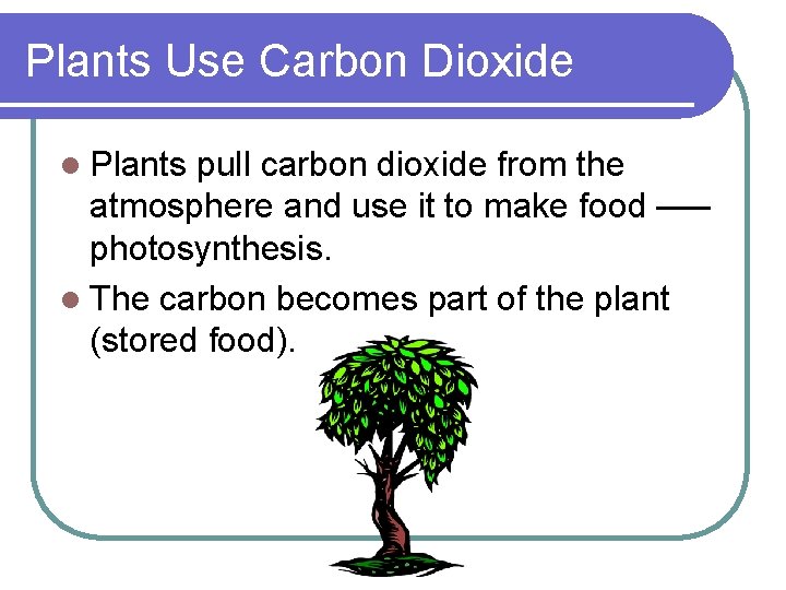 Plants Use Carbon Dioxide l Plants pull carbon dioxide from the atmosphere and use
