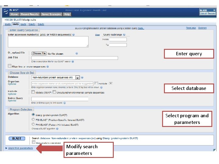 Enter query Select database Select program and parameters Modify search parameters 