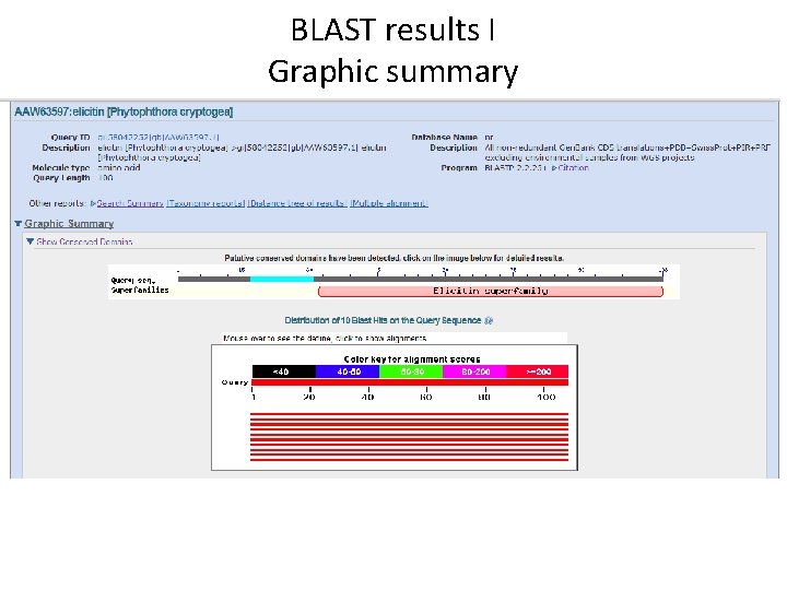 BLAST results I Graphic summary 