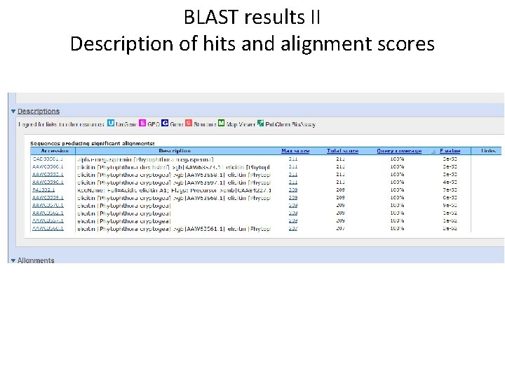 BLAST results II Description of hits and alignment scores 