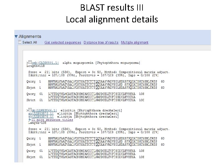 BLAST results III Local alignment details 