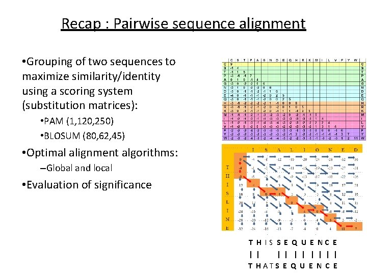 Recap : Pairwise sequence alignment • Grouping of two sequences to maximize similarity/identity using