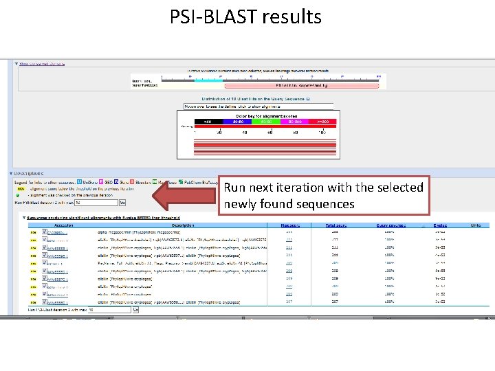 PSI-BLAST results Run next iteration with the selected newly found sequences 