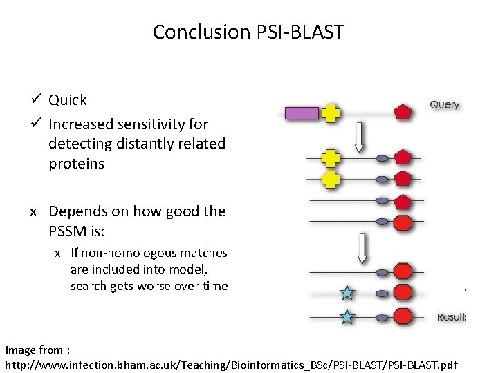 Conclusion PSI-BLAST ü Quick ü Increased sensitivity for detecting distantly related proteins х Depends