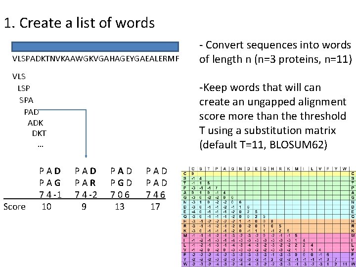 1. Create a list of words VLSPADKTNVKAAWGKVGAHAGEYGAEALERMF - Convert sequences into words of length