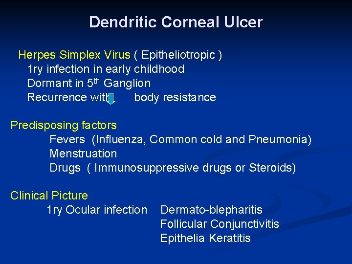 Dendritic Corneal Ulcer Herpes Simplex Virus ( Epitheliotropic ) 1 ry infection in early