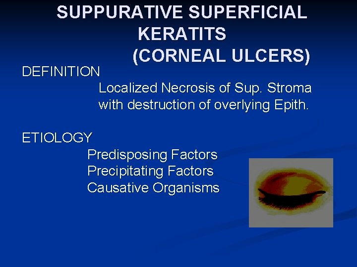 SUPPURATIVE SUPERFICIAL KERATITS (CORNEAL ULCERS) DEFINITION Localized Necrosis of Sup. Stroma with destruction of