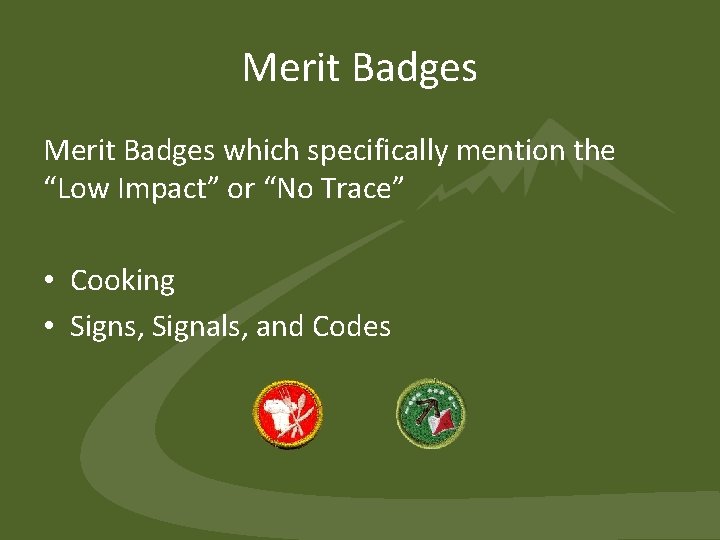 Merit Badges which specifically mention the “Low Impact” or “No Trace” • Cooking •