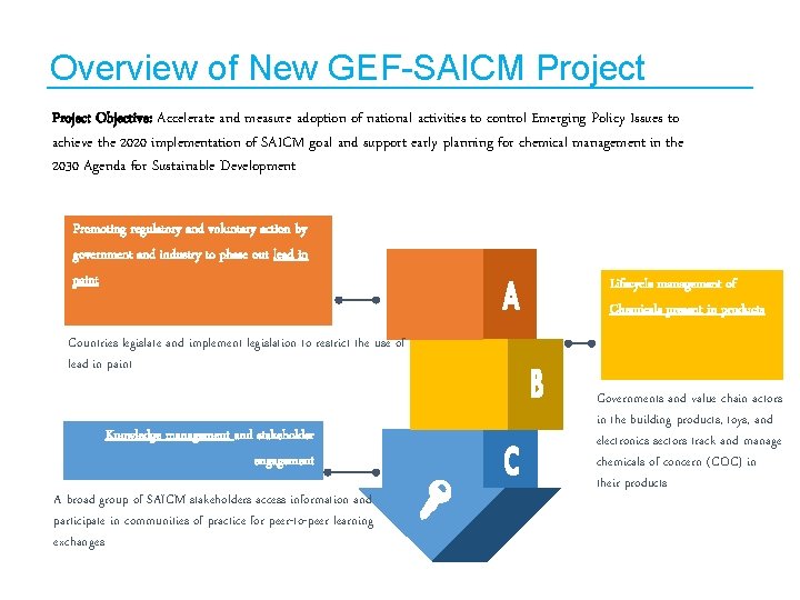 Overview of New GEF-SAICM Project Objective: Accelerate and measure adoption of national activities to