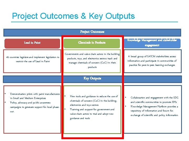 Project Outcomes & Key Outputs Project Outcomes Lead in Paint Chemicals in Products Knowledge