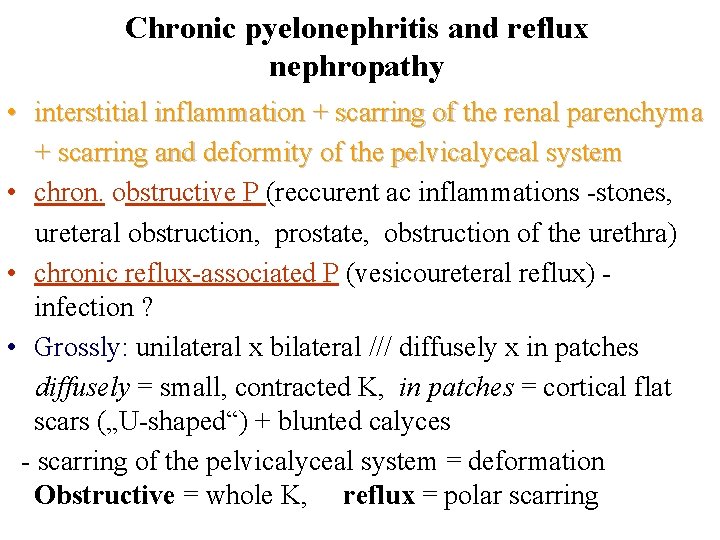 Chronic pyelonephritis and reflux nephropathy • interstitial inflammation + scarring of the renal parenchyma