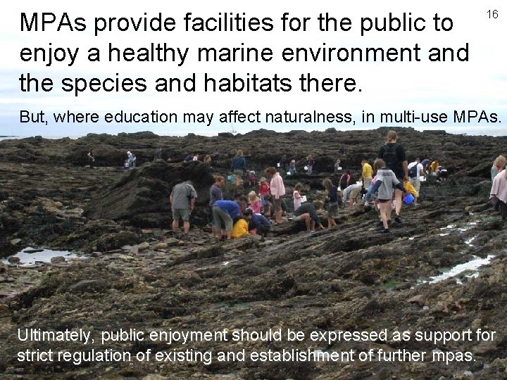 MPAs provide facilities for the public to enjoy a healthy marine environment and the