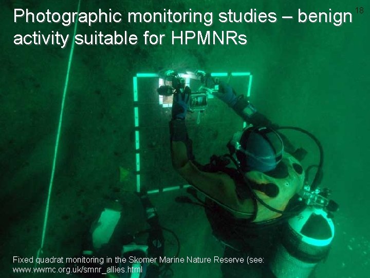 Photographic monitoring studies – benign activity suitable for HPMNRs 18 Fixed quadrat monitoring in