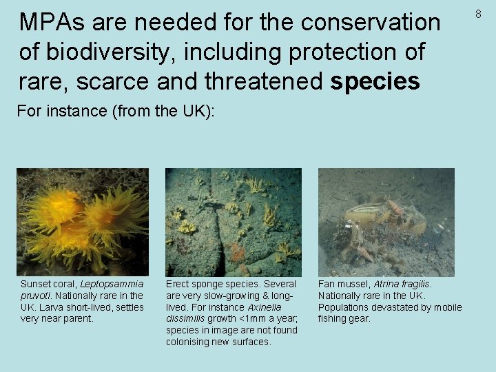 MPAs are needed for the conservation of biodiversity, including protection of rare, scarce and