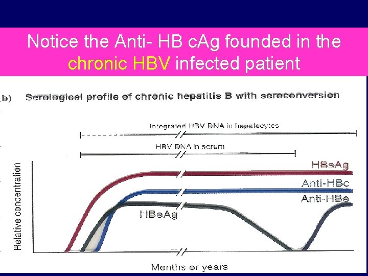 Notice the Anti- HB c. Ag founded in the chronic HBV infected patient 