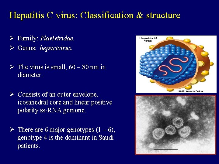 Hepatitis C virus: Classification & structure Ø Family: Flaviviridae. Ø Genus: hepacivirus. Ø The