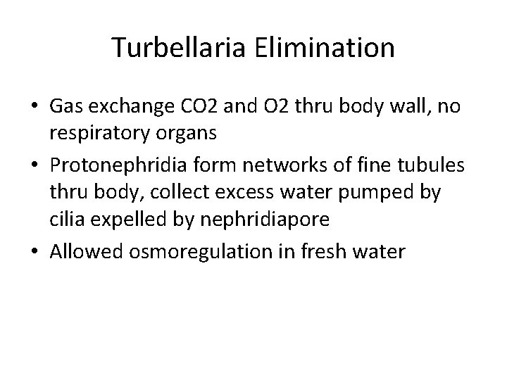 Turbellaria Elimination • Gas exchange CO 2 and O 2 thru body wall, no
